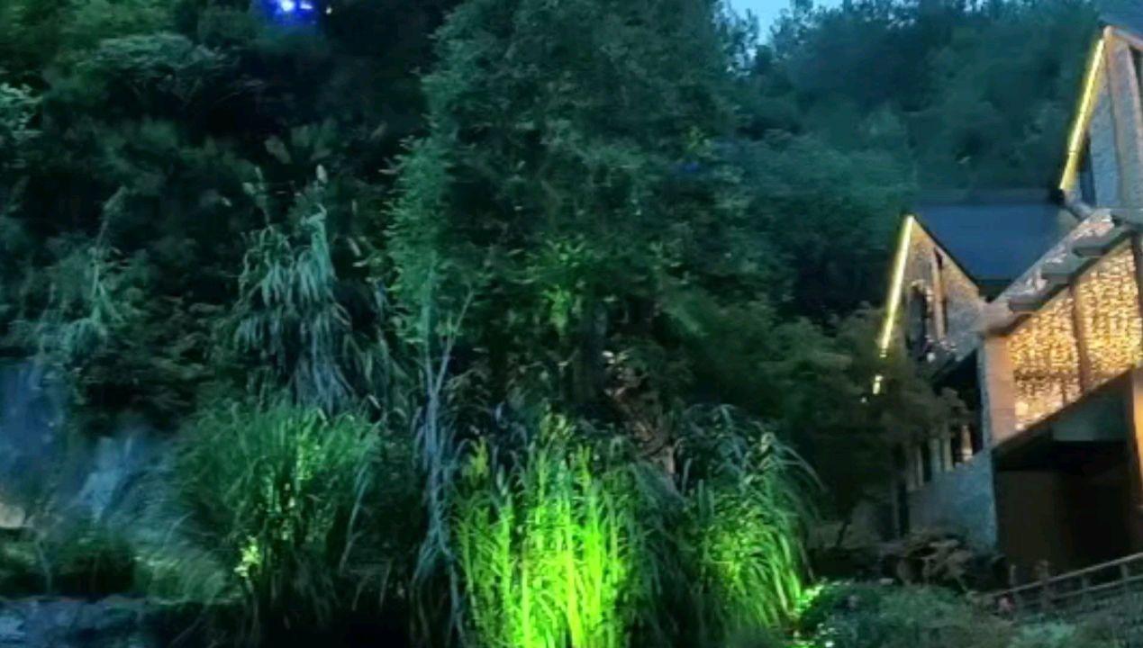 公告牌音乐奖